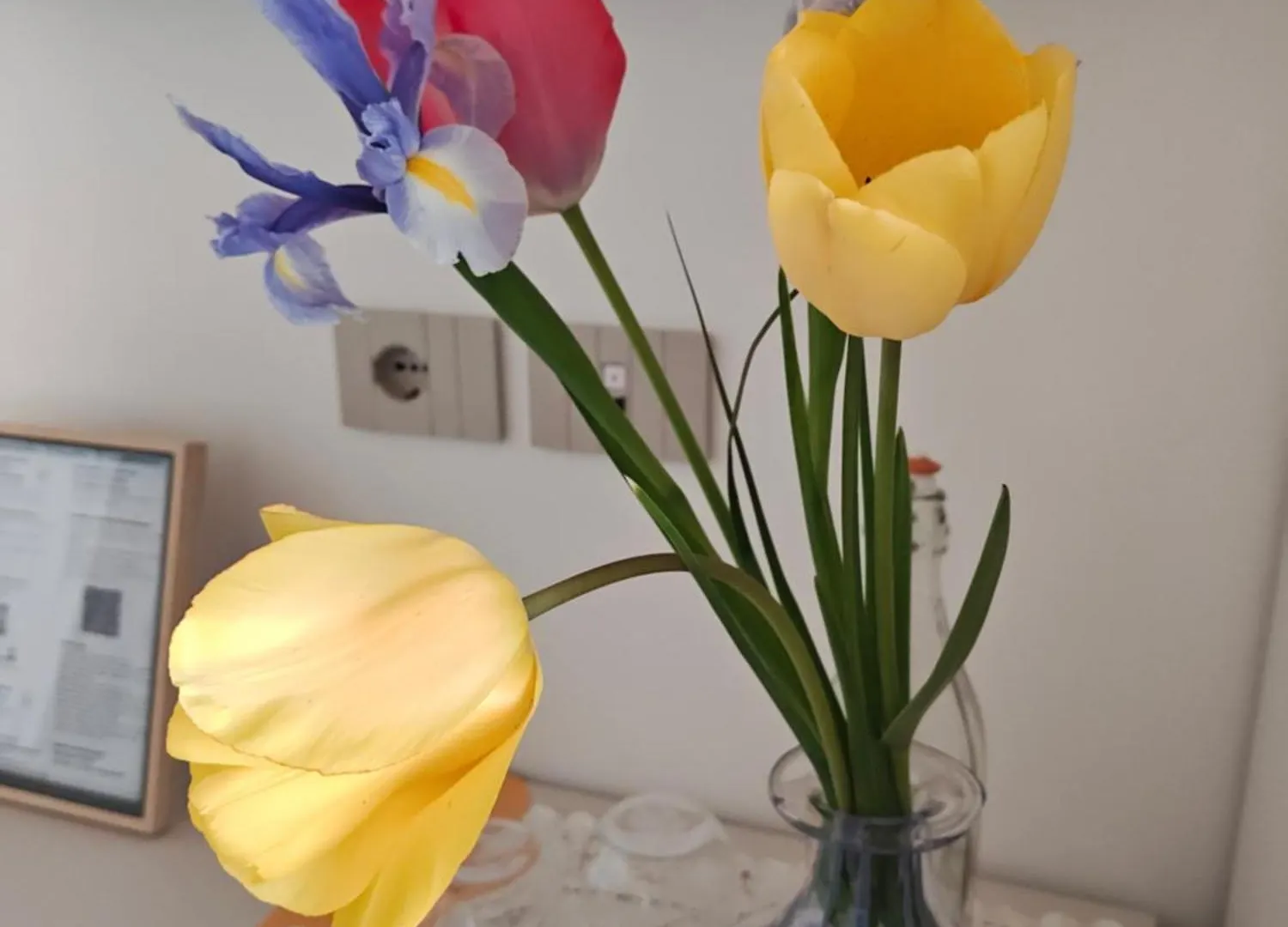 Dalla Afra Agrialloggi Guia Bed and Breakfast