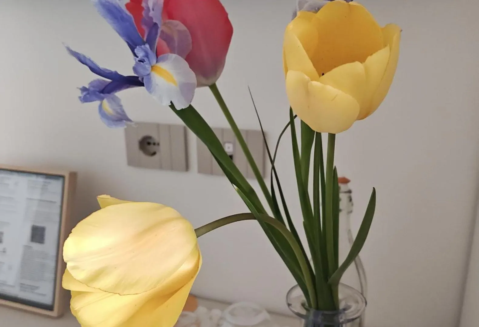 Bed & Breakfast Dalla Afra Agrialloggi Guia